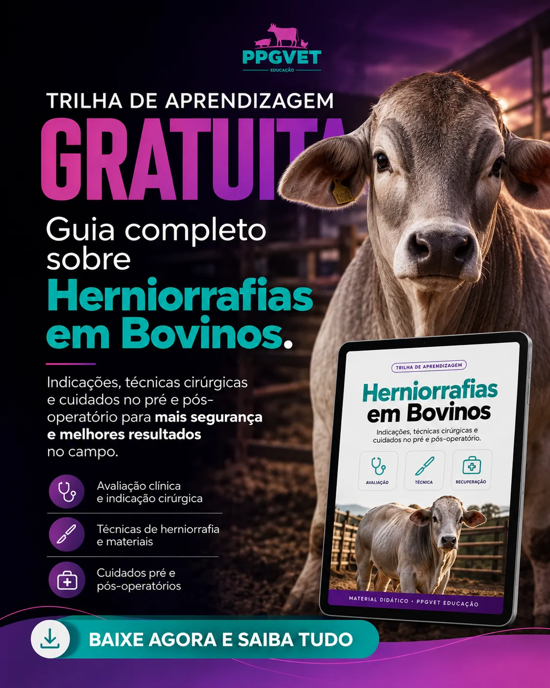 Herniorrafias em Bovinos