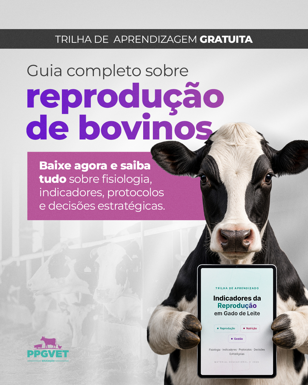 Anatomia, Fisiologia e Endocrinologia da Reprodução de Bovinos