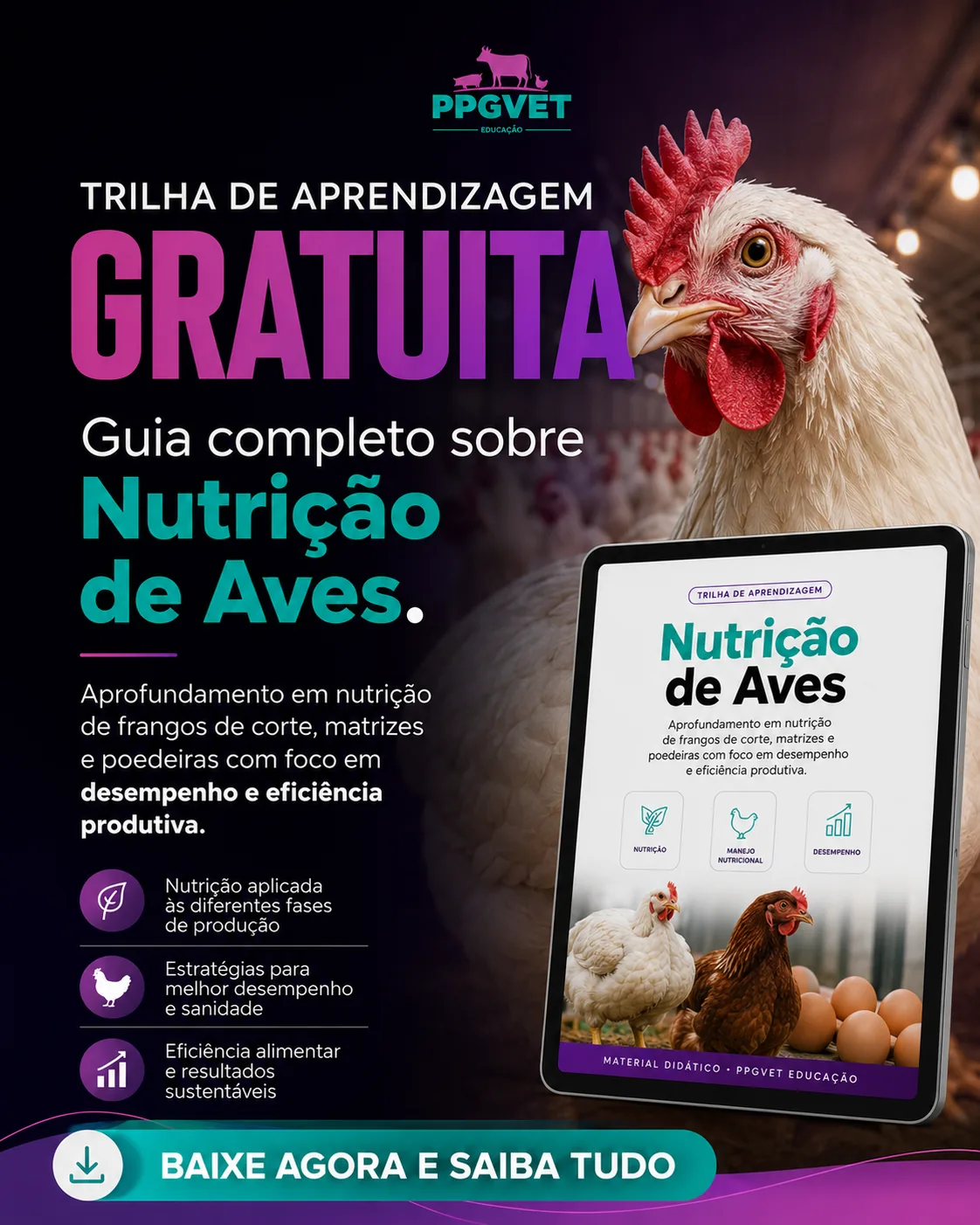 Nutrição de Aves