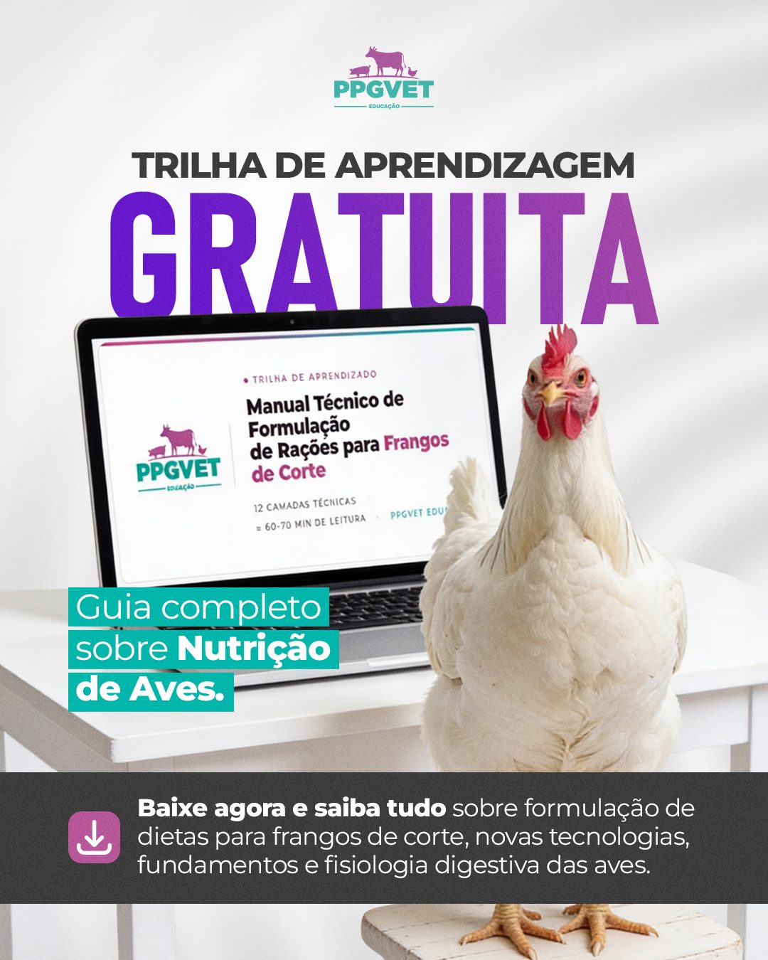 Trilha de Nutrição de Aves