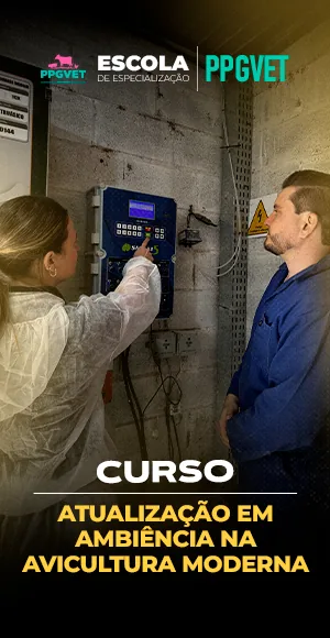 Ambiência na Avicultura Moderna