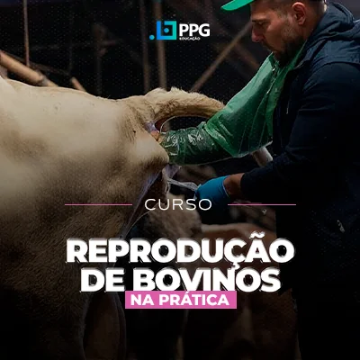 Reprodução de Bovinos na Prática