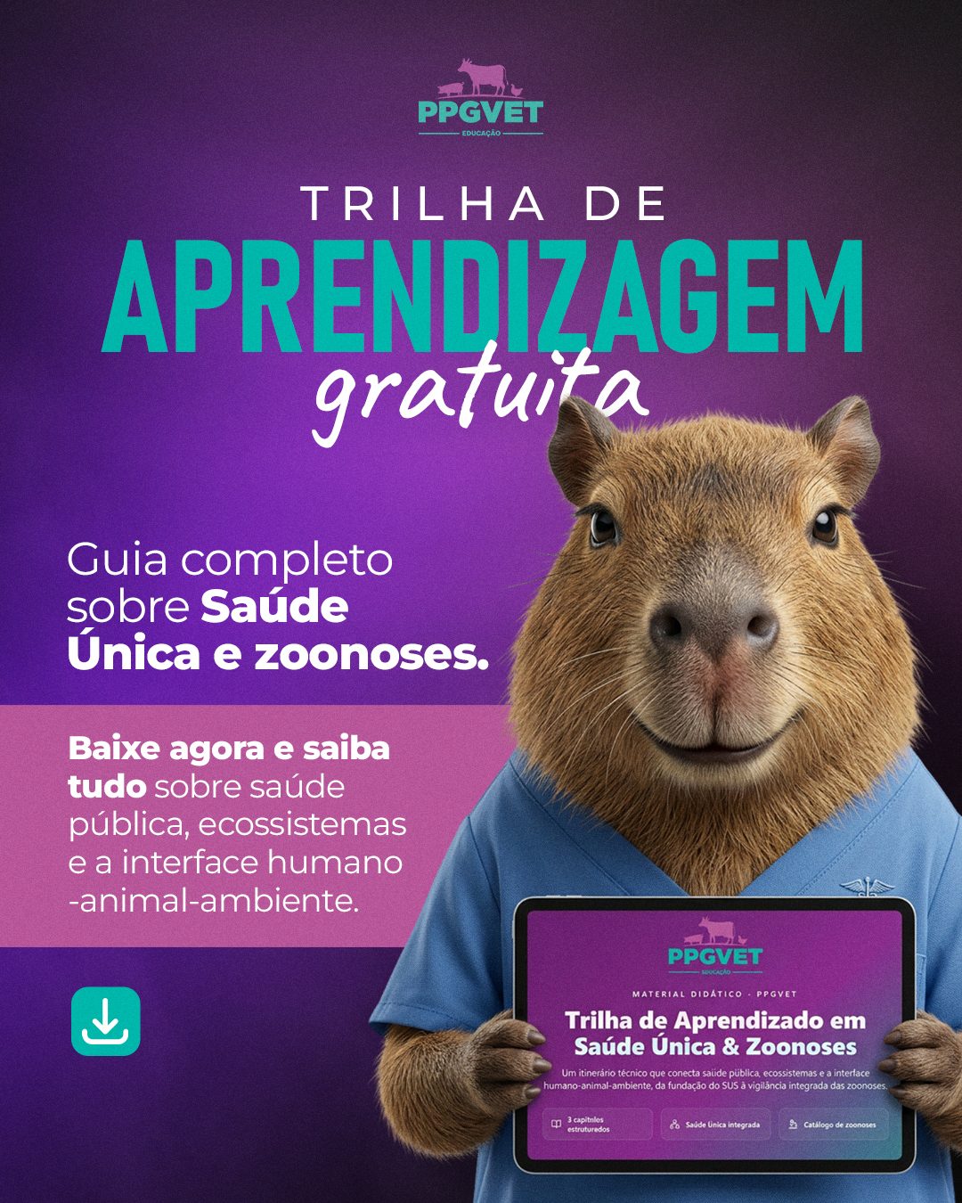 Trilha Saúde Única