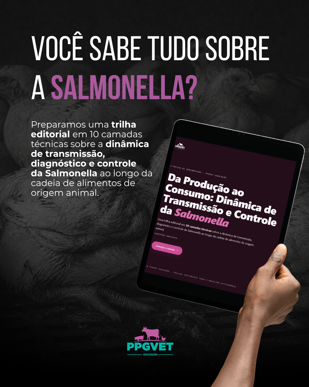 Trilha de Salmonella