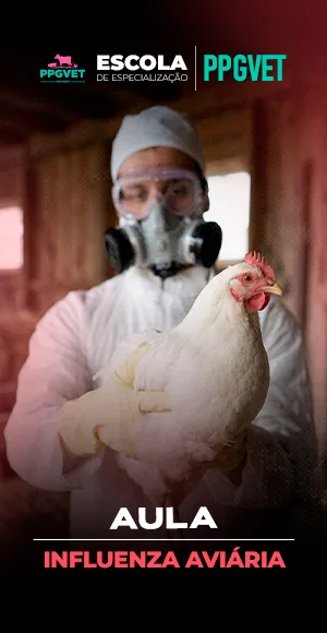 Influenza Aviária