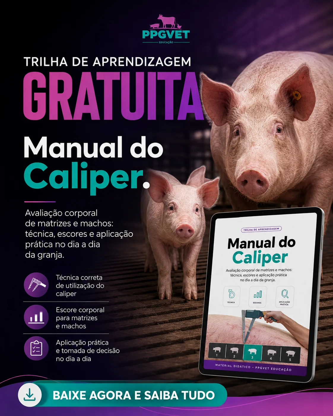 Manual do Caliper