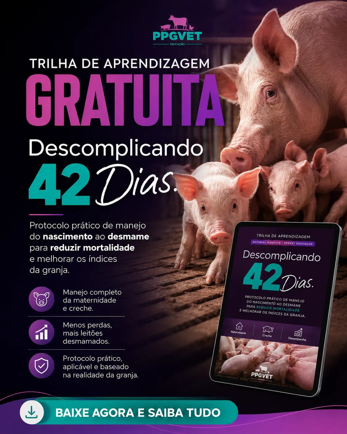 Descomplicando 42 Dias