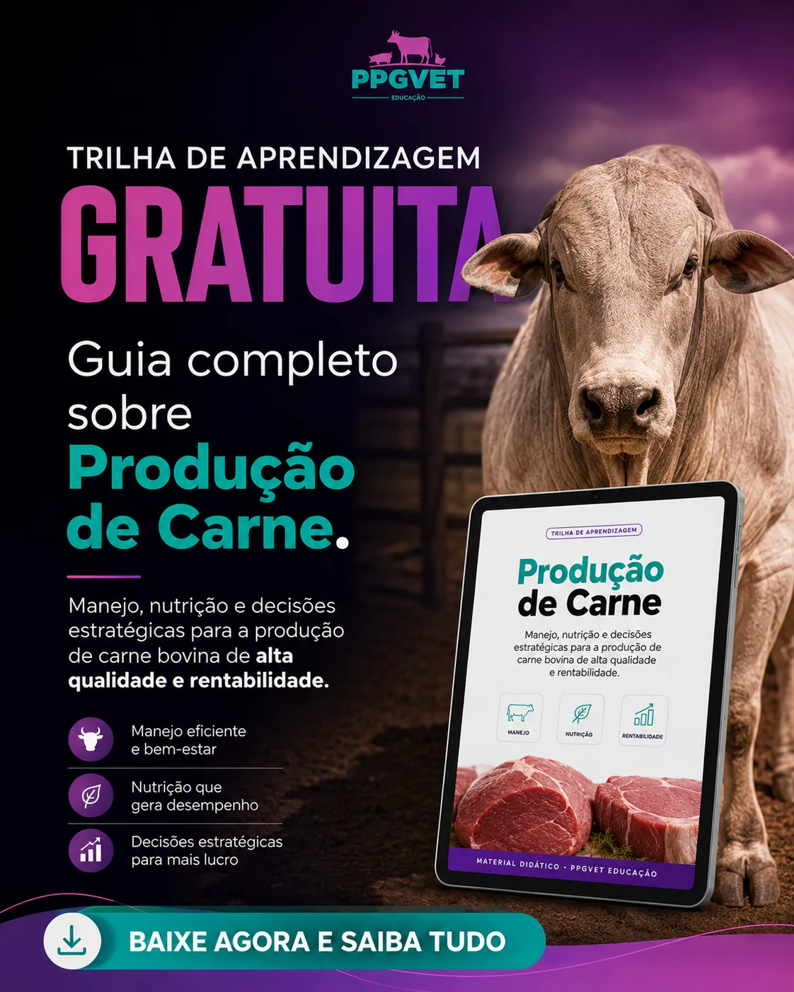 Produção de Carne