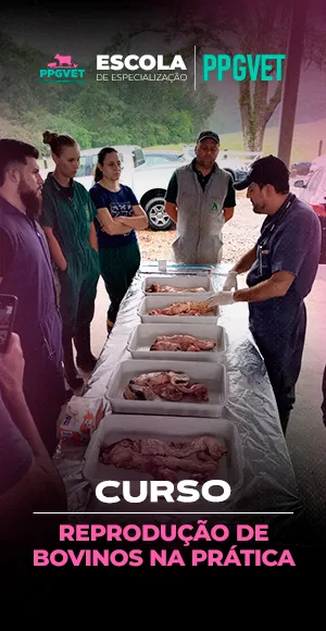 Reprodução de Bovinos na Prática