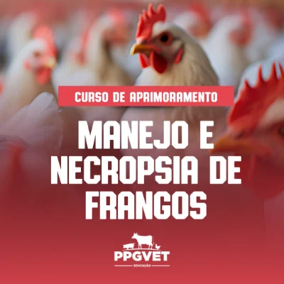 Manejo e Necropsia de Frangos