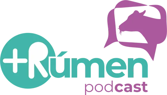 Podcast