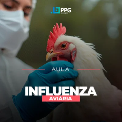 Influenza Aviária