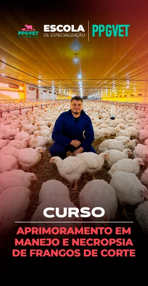 Manejo e Necropsia de Frangos