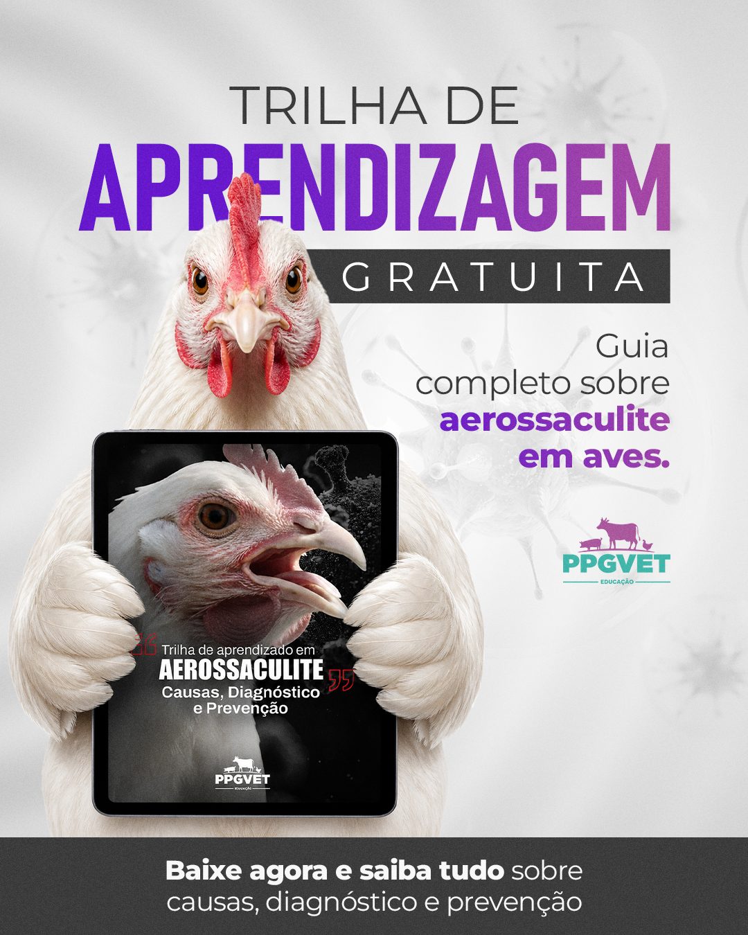 Trilha de Aerossaculite