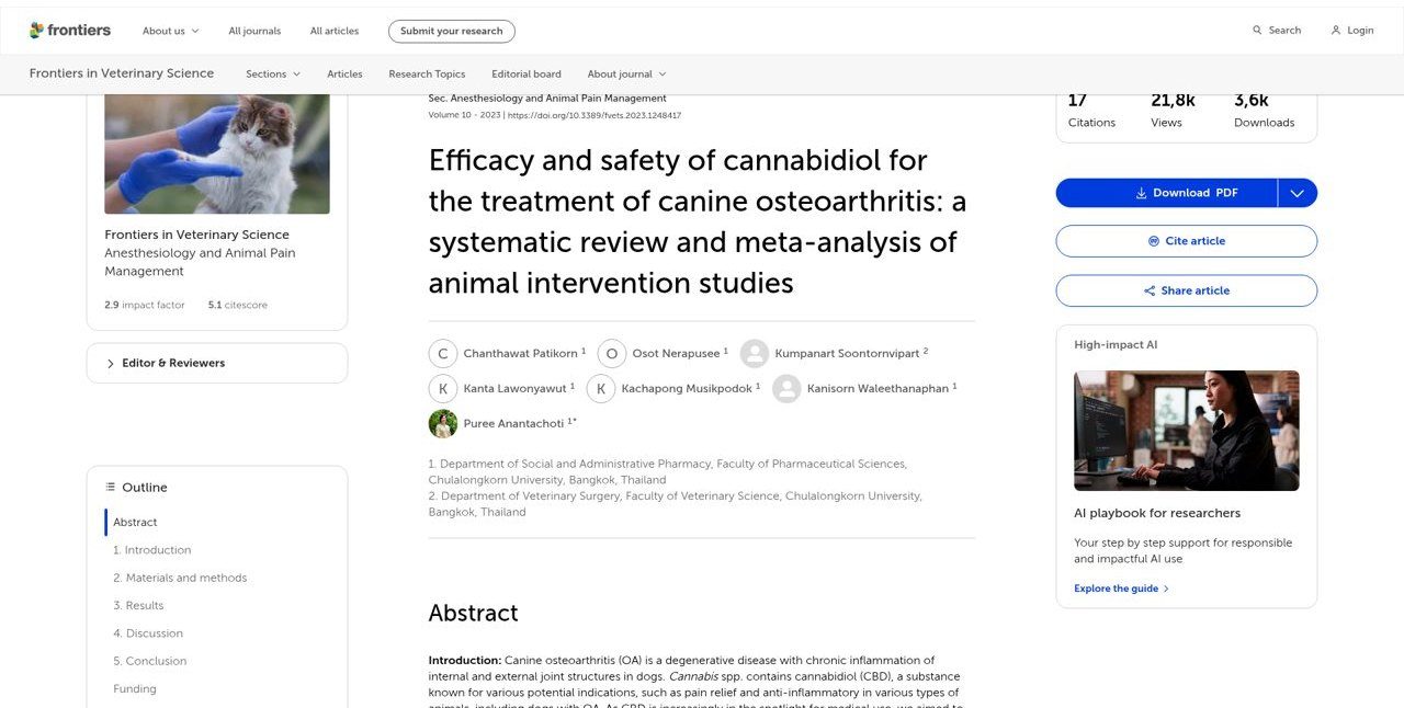 CBD em osteoartrite canina: meta-análise (Patikorn et al.)