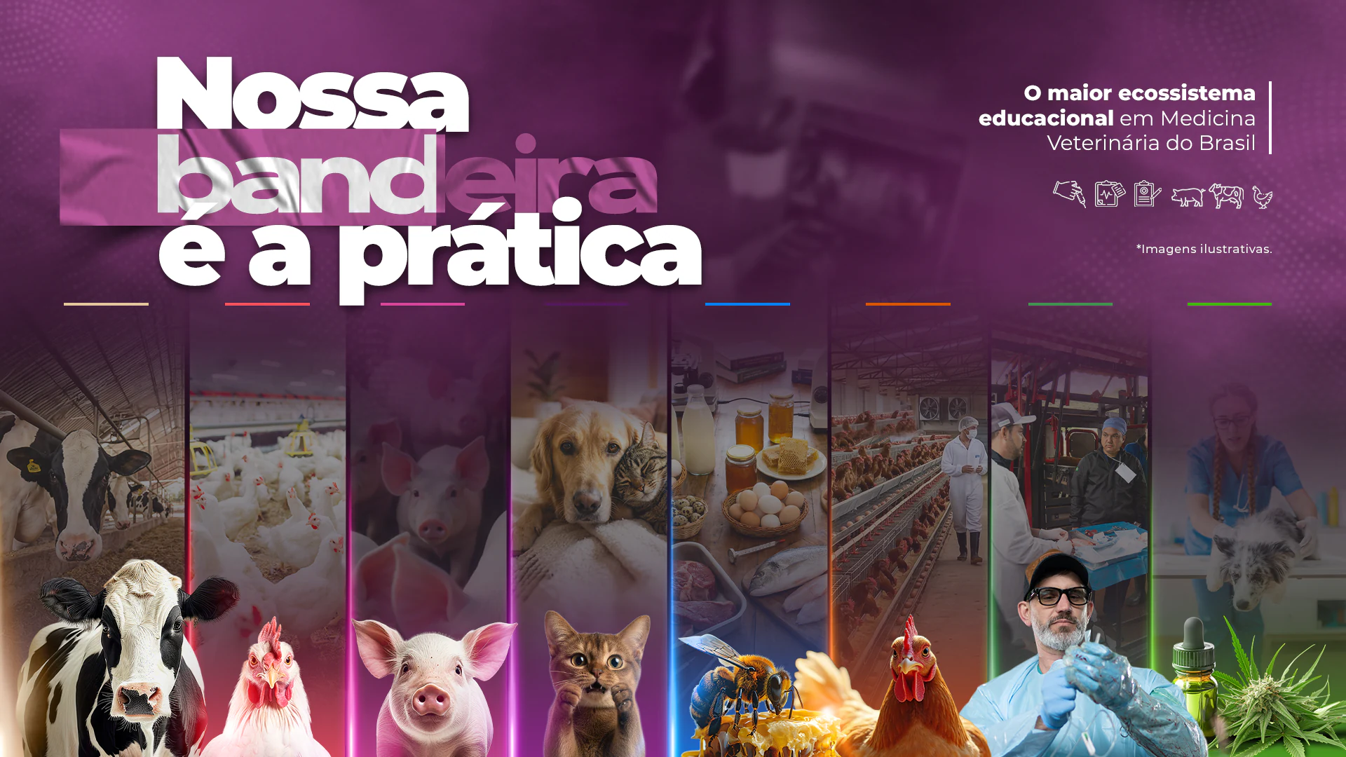 Nossa bandeira é a prática, o maior ecossistema educacional em Medicina Veterinária do Brasil